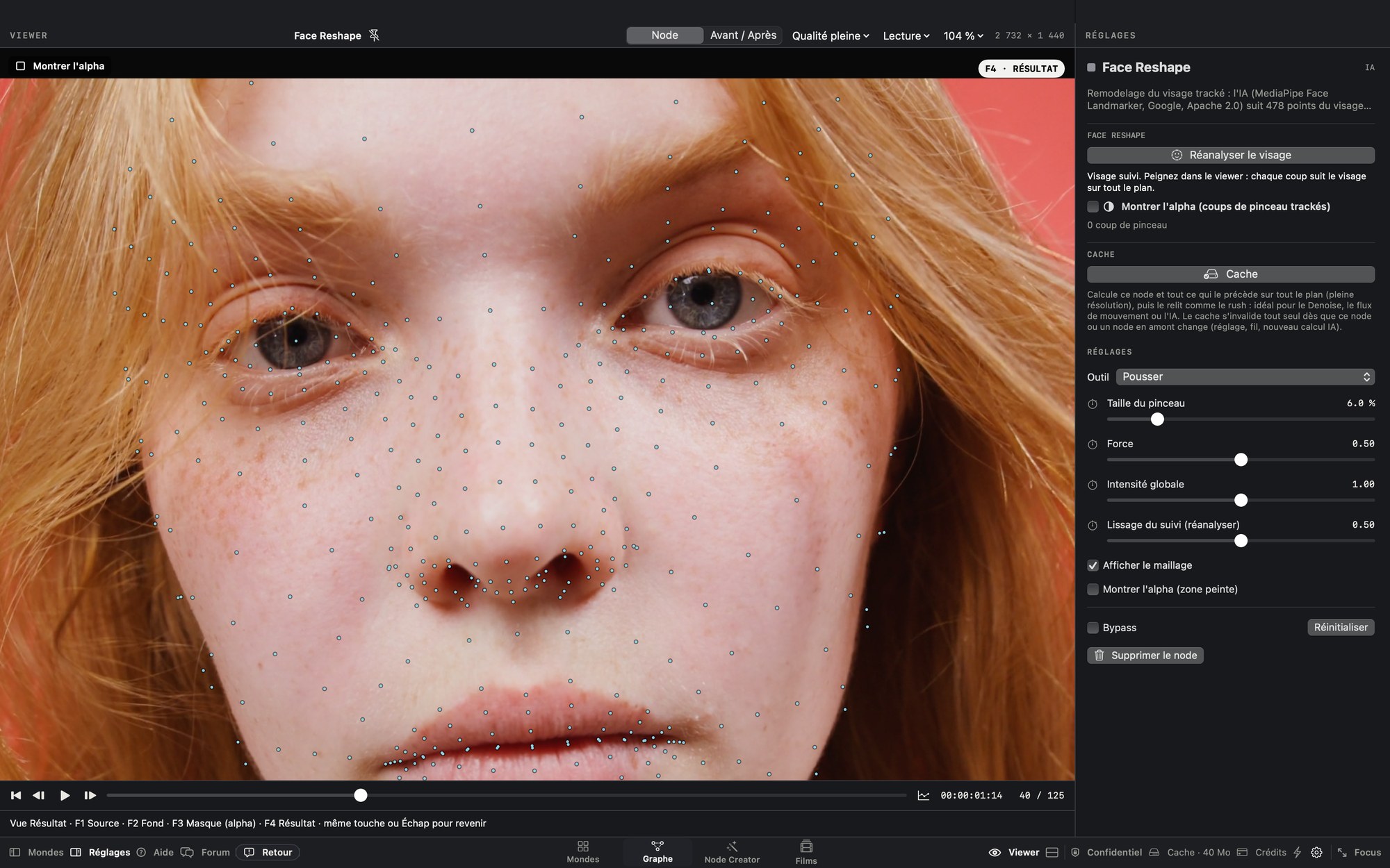 Face Reshape 478-point mesh on a face